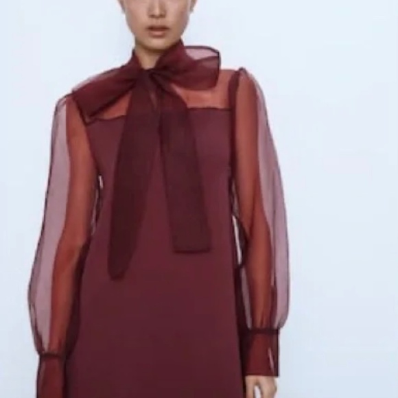 Zara organza dress semi sheer burgundy - Picture 4 of 6
